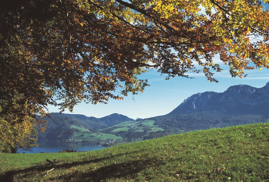 Haus Gruber Hotel Attersee Exterior foto
