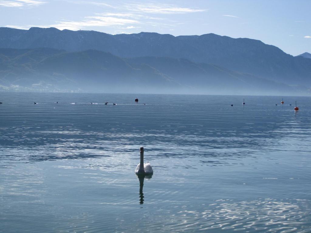 Haus Gruber Hotel Attersee Exterior foto